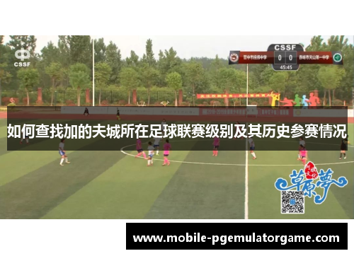 如何查找加的夫城所在足球联赛级别及其历史参赛情况