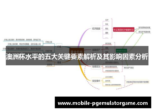 澳洲杯水平的五大关键要素解析及其影响因素分析